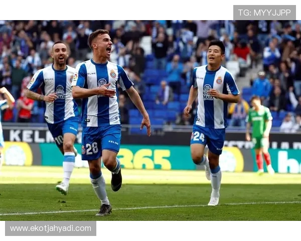 狼堡球队新结构上线，年轻力量与经验结合，目标新赛季表现稳健提升