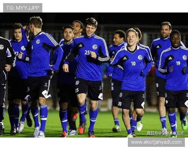 尼斯整体实力本赛季表现稳健，竞争力持续提升