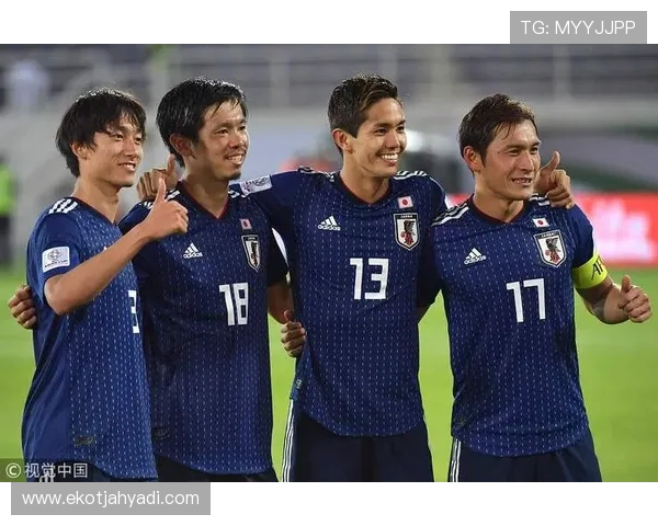 日本防线稳定性评估 日本防线稳定性评估